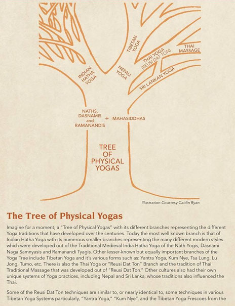 The tree of phisical yogas